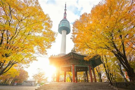 N Seoul Tower Ticket Combos En Seúl 2022 Viator