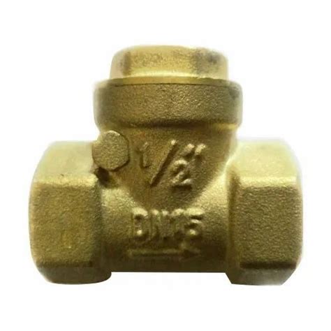 Brass Check Valve Size 12 To 4 Packaging Type Box At Rs 200