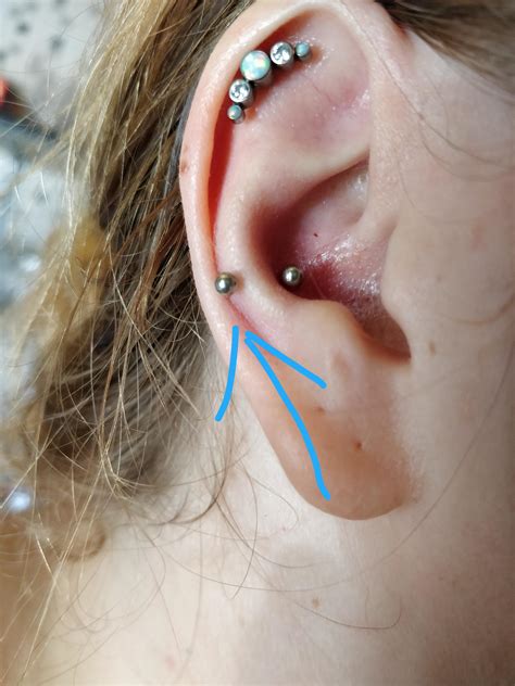 Is this a cartalige or high lobe? : piercing