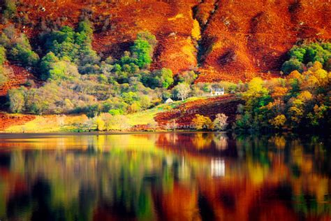 Fall Reflections Shore Colorful Lake Forest