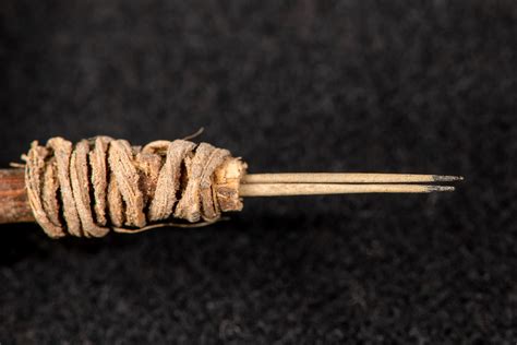 A 2000 Year Old Tattoo Needle Still Has Ink On The Tip Ars Technica