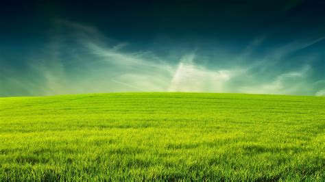 Grassland Wallpaper Maxipx