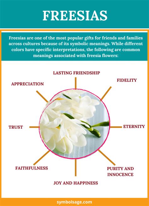 Freesia Symbolism And Meaning Symbol Sage