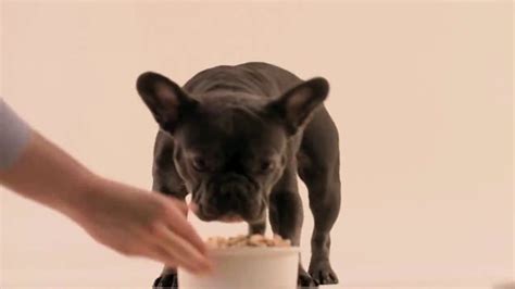The farmer's dog, a fresh pet food delivery service, aims to cure american dogs of obesity, lethargy, poor odor, and a host of other furry health concerns. The Farmer's Dog TV Commercial, 'Built to Eat' - iSpot.tv