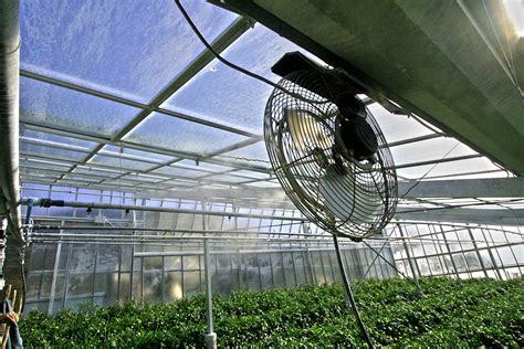 Greenhouse Misting Systems