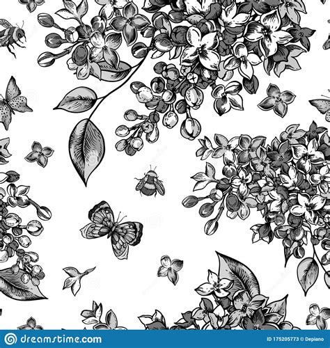 Vector Monochrome Seamless Pattern With Blooming Flowers Of Lilac Stock