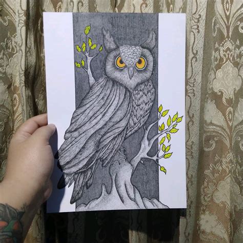 Gambar Burung Hantu Mudah Hampir Semua Contoh Sketsa Gambar Burung