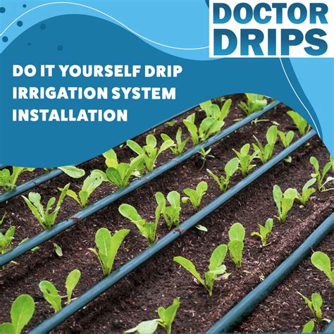 Diy Drip Irrigation System Installation Diy Guide Installing A Drip