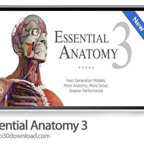 Stream Essential Anatomy 3 Windows Crack Portable By Annette Pino