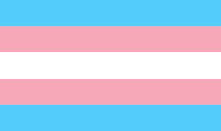 Transgender Pride Flag Colors Color Scheme Blue SchemeColor Com