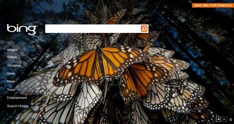 New Bing Background Images From National Geographic Coming