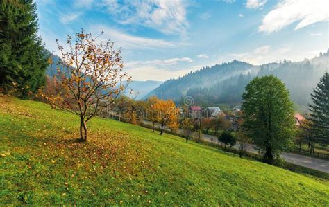 Orchard In Colorful Foliage Stock Image Image Of Glen Lowland 124078865