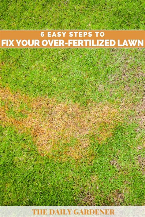 6 Easy Steps To Fix Your Over Fertilized Lawn