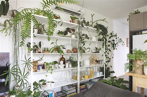 How To Display Houseplants 65 Of Our Favorite Plant Display Ideas