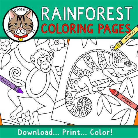 Rainforest Coloring Page Home Design Ideas
