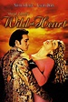 Wild at Heart (film) - Alchetron, The Free Social Encyclopedia
