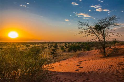 Eindrücke Aus Namibia Weite Wüsten Und Wilde Tiere Urlaubsgurude