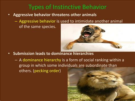 Ppt Animal Behavior Powerpoint Presentation Free Download Id2739287