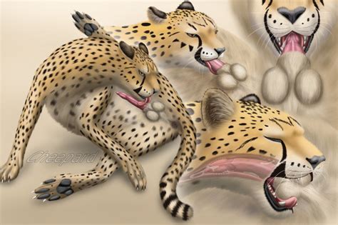 Rule 34 Autofellatio Balls Cheepard Cheetah Cum Cum