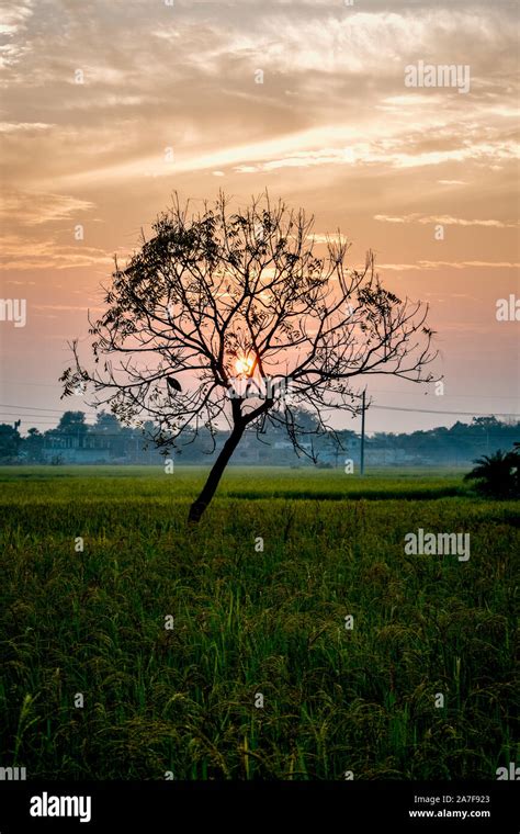 A Beautiful Sunset With Nature Stock Photo Alamy