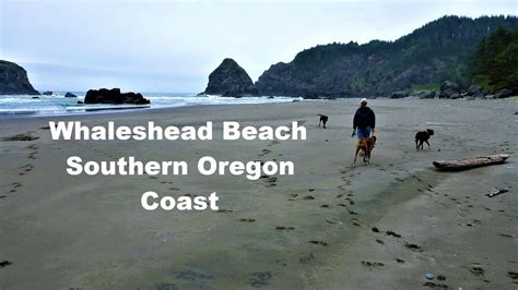 Whaleshead Beach Southern Oregon Coast Samuel H Boardman Scenic Corridor Youtube