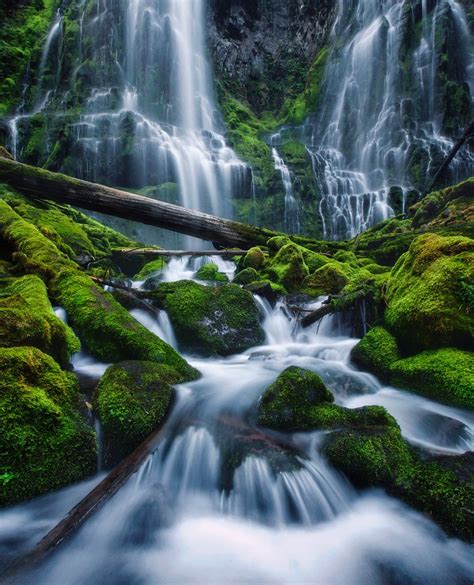 Proxy Falls Oregon Oregon Waterfalls Waterfall Oregon Waterfall Hikes