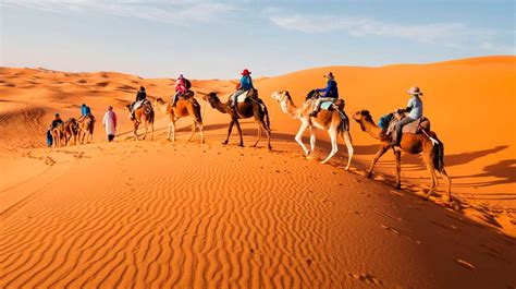El Desierto Del Sáhara Ha Crecido Un 10 Desde 1920