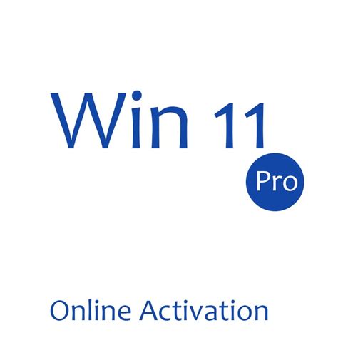 Win 11 Pro Key License Win 11 Professional Key 100 Activation Online