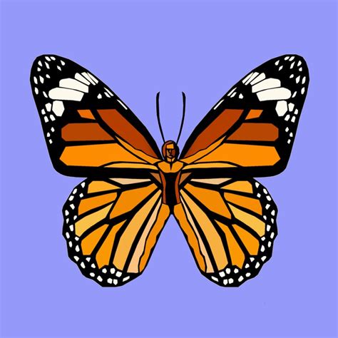 Monarch Butterfly Cartoon Free Image On Pixabay