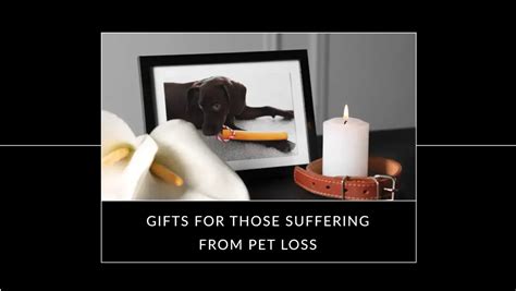 Beyond Words Thoughtful Gifts For Someone Who Lost A Pet Suartprinting