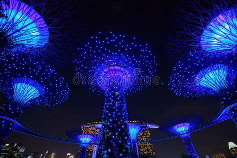 Gardens By The Bay With Light At Night Singapore Editorial Photo