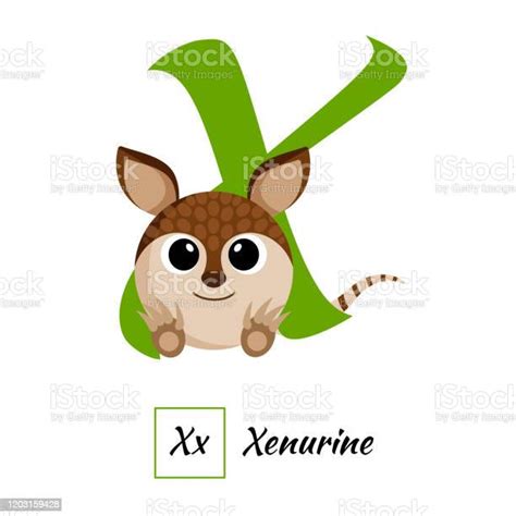 English Animal Alphabet Letter X In Vector Style Stock Illustration