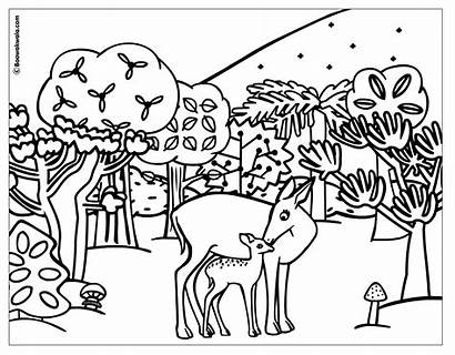 Coloring Forest Children Pages Popular