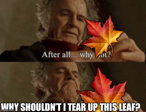 Leaf Imgflip