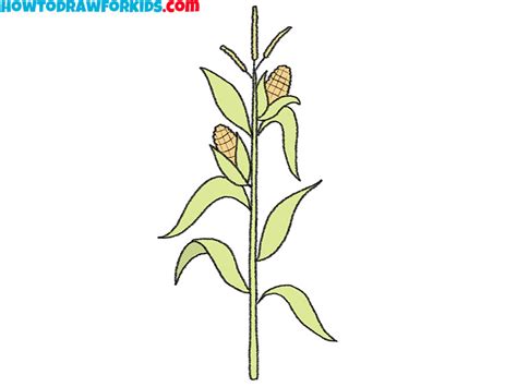 How To Draw A Corn Stalk Easy Drawing Tutorial For Kids