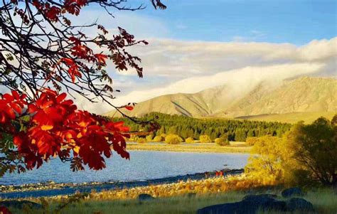 Beautiful Fall Scenes Of New Zealands Lake Tekapo Global Times