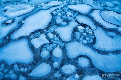 Frozen Air Bubbles In Abraham Lake Alberta Canada Snow Addiction