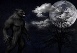 La leggenda tedesca del lupo mannaro di Morbach "avvistato" per l ...