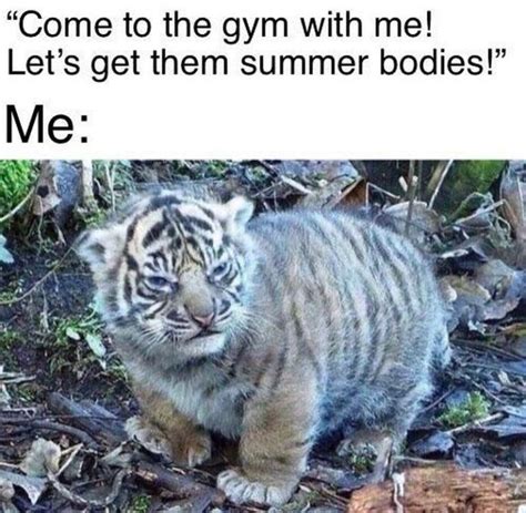 65 Gym Memes Offering Fitness And Workout Motivation All Year Round