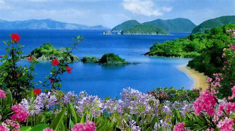 Beautiful Scenery Ocean View Mountains Rocks Plants Colorful Flowers HD ...