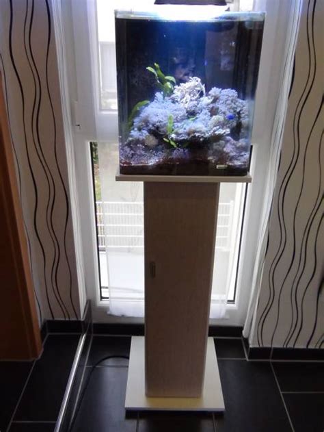 Holzfreunde können im zajac aquarien möbel shop schränke mit ein bis zwei flügeltüren und regalfach in pinie, esche. nano aquarium unterschrank l für alle nanobecken