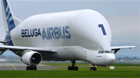 The airbus belugaxl which entered service on january 9, 2020 is a large transport aircraft based on the airbus beluga xl. Um olhar sobre o magnífico Airbus Beluga - Engenharia é: