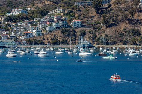 Catalina Island On Ruby Princess Cruise Ship Cruise Critic