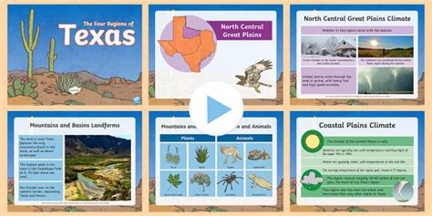 The Four Regions Of Texas Powerpoint United States History State History
