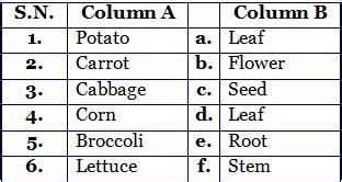 Full analysis page toolbar provided by data.danetsoft.com delete this bar. 2nd grade EVS uses of plants revision worksheets