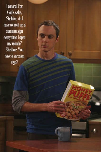 Sometimes We All Need A Sarcasm Sign Big Bang Theory Quotes Big Bang Theory Bigbang
