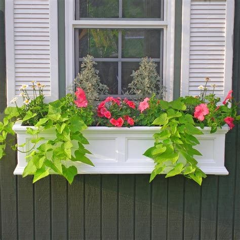 Mayne Fairfield 11 In X 36 In Plastic Window Box 5822w The Home Depot