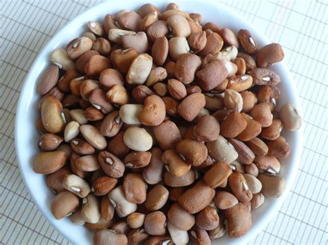 Nigerian Beans Still Too Dangerous To Eat Eu