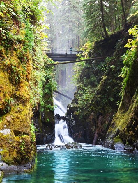 Sol Duc Falls Washington National Parks Trip National Parks