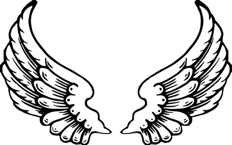Download Angel Wings Wings Feathers Royalty Free Vector Graphic Pixabay